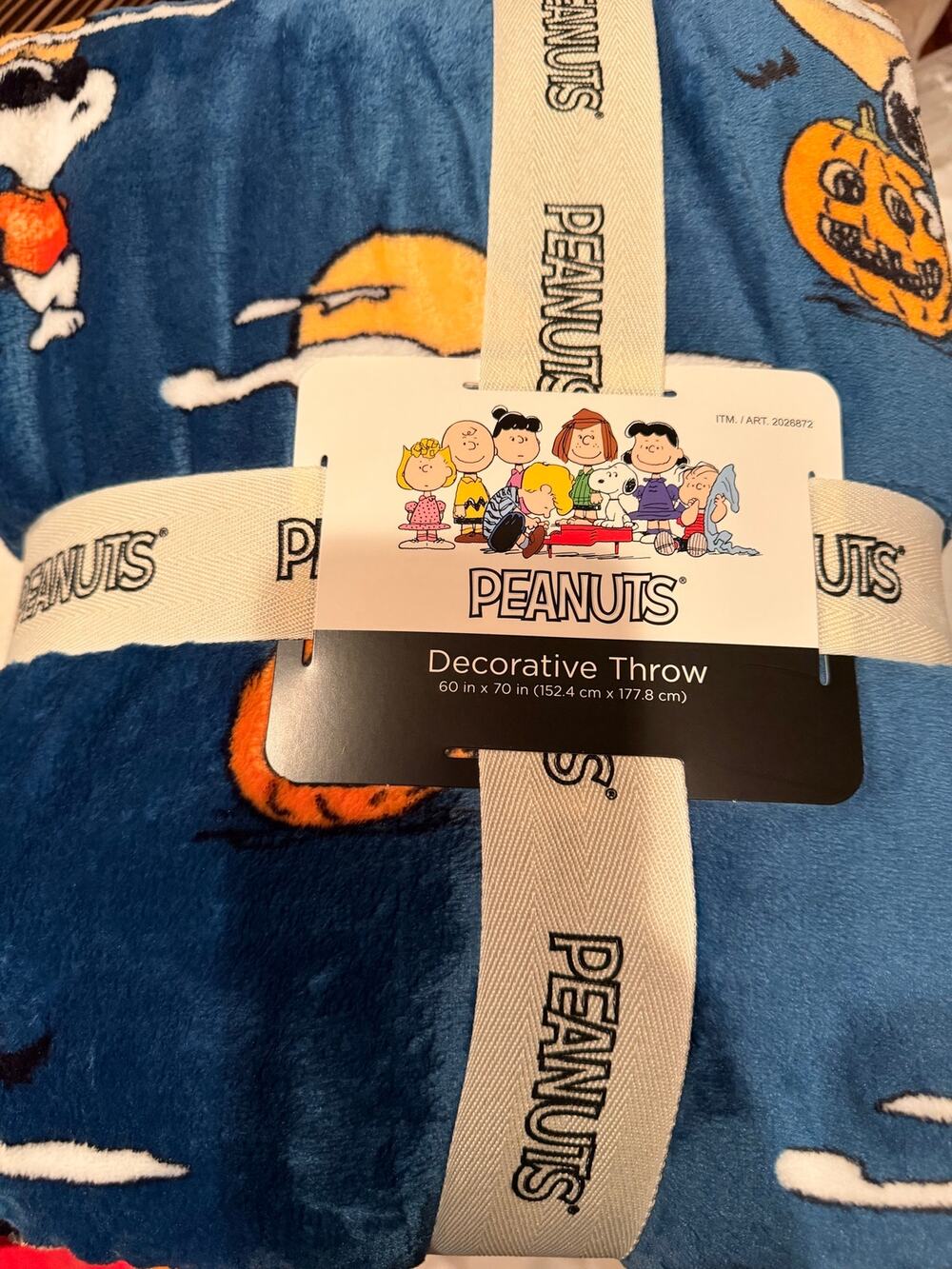 Peanuts Snoopy & Charlie Brown Decorative Throw Blanket – 60” x 70” – Blue